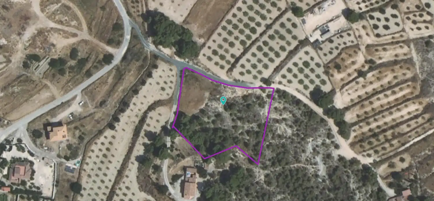 Lands and plots for sale in Mula, imagen 2