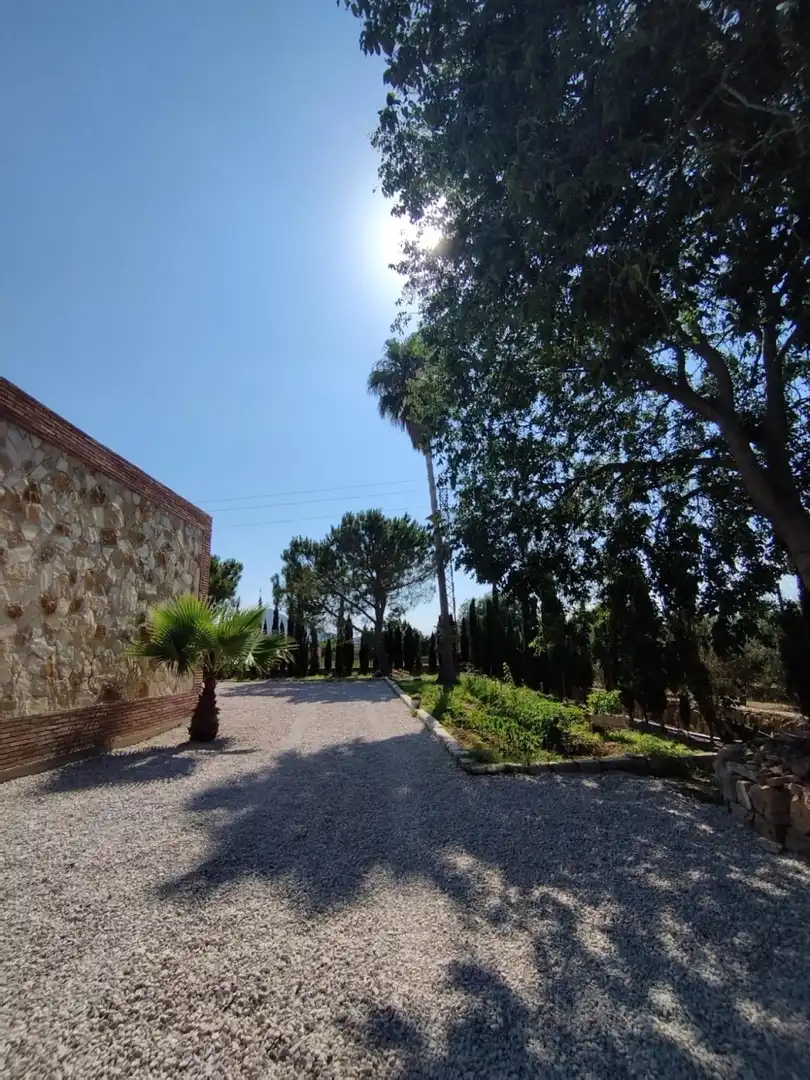 Casa rústica en venta en Eucaliptus- Poble Nou del Delta, imagen 5
