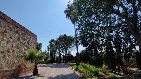 Foto 5 de Finca rústica en venda a Eucaliptus - Poble Nou del Delta, Amposta