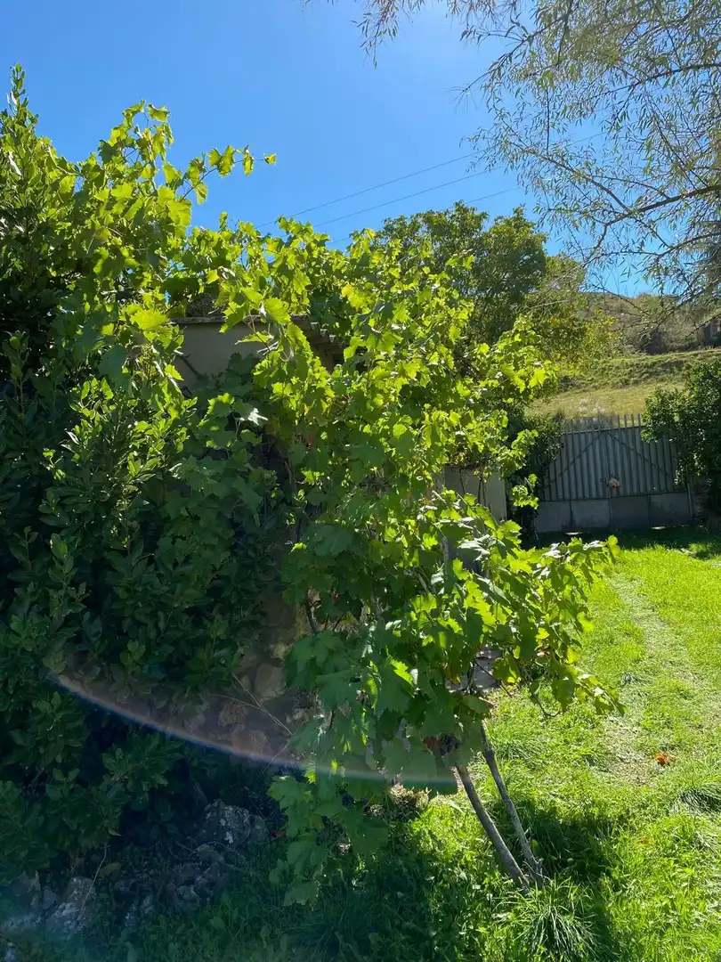 Terreno en venta en Escopete