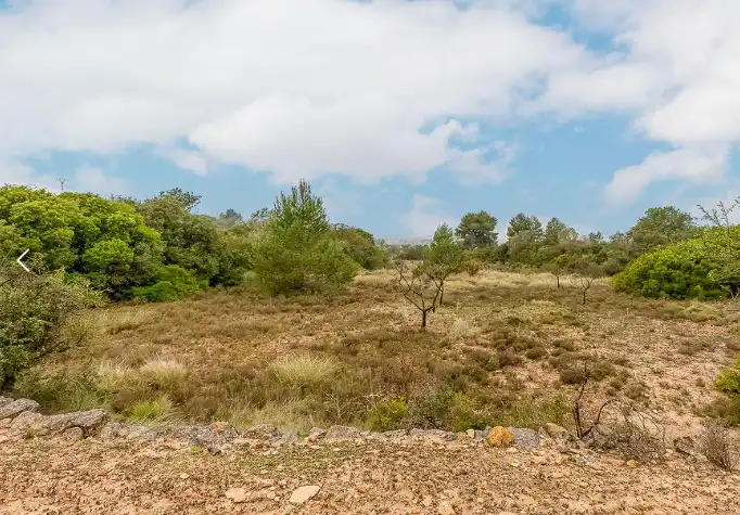 Terreno rustico in vendita a Cheste, imagen 6