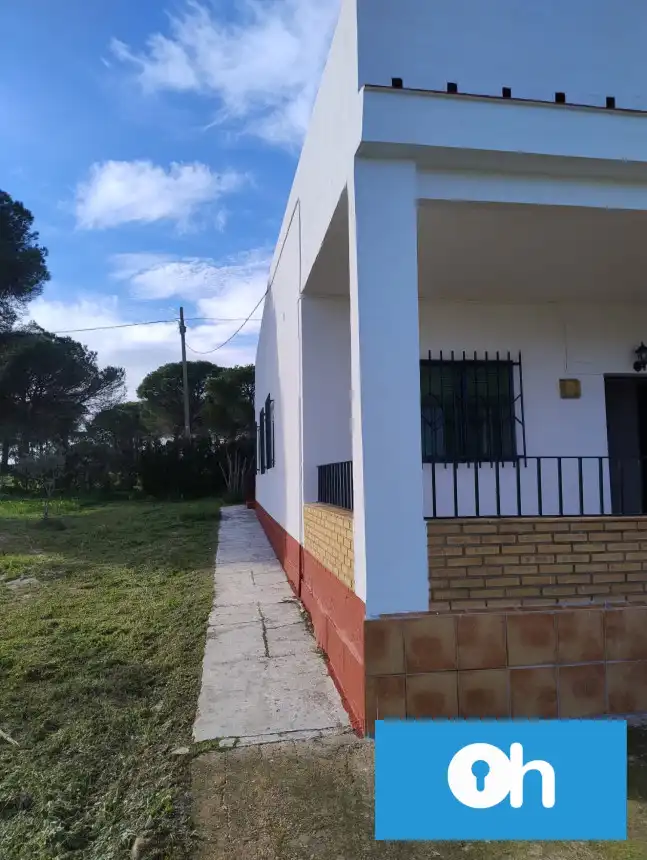 Vista exterior de Finca rústica en venta en Bonares
