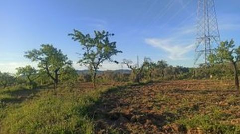 Terreno en venta en Calle de l'Era 17, Tivissa