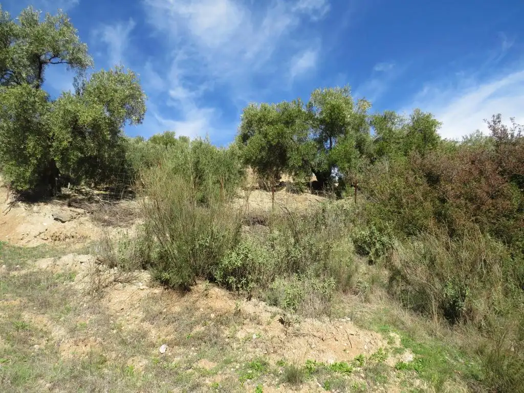 Terreno en venta en Cádiz