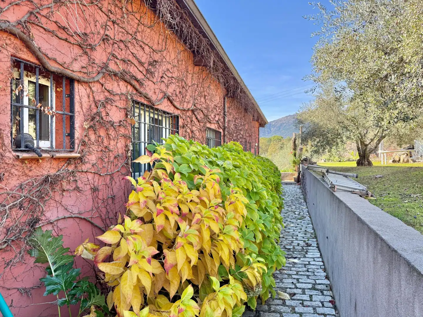 Vista exterior de Finca rústica en venta en Piedralaves con Jardín privado, Terraza y Trastero