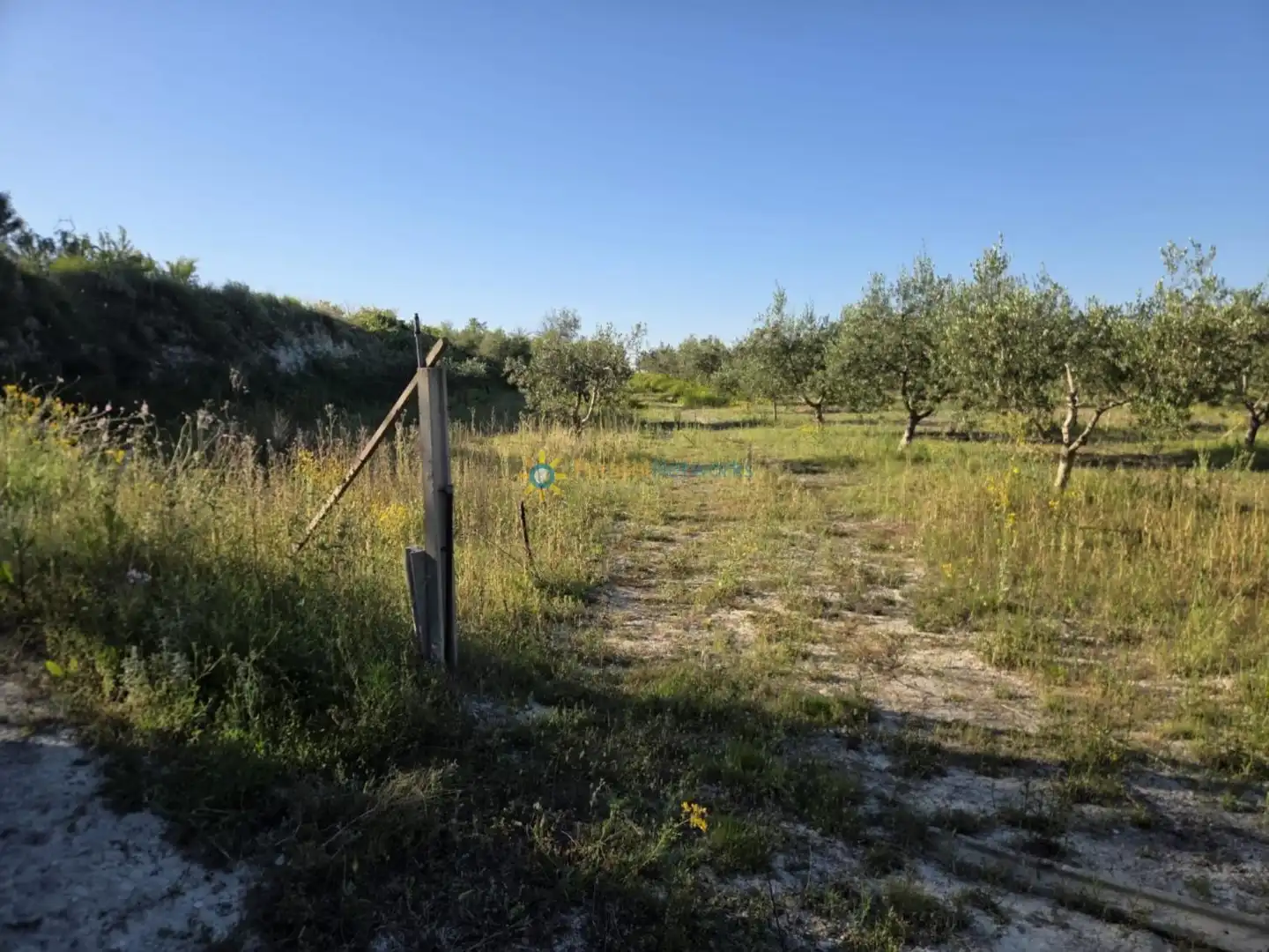 Terreny rústic en venda a Bélgida, imagen 6