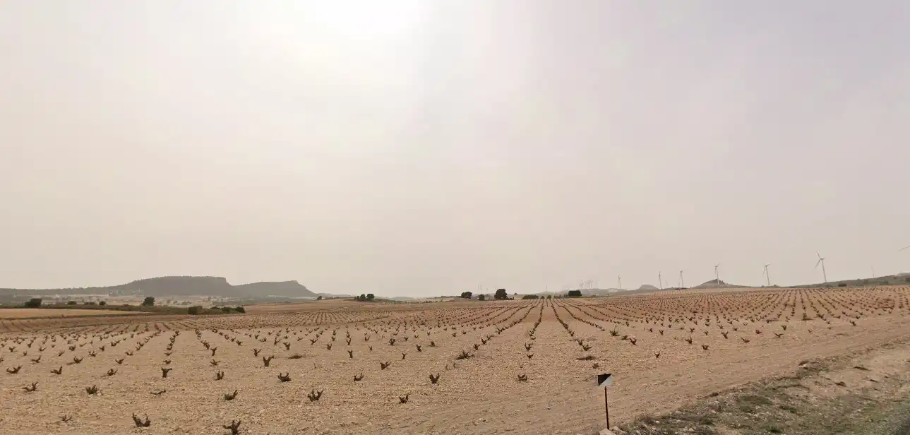 Country homes for sale in Jumilla  with Furnished