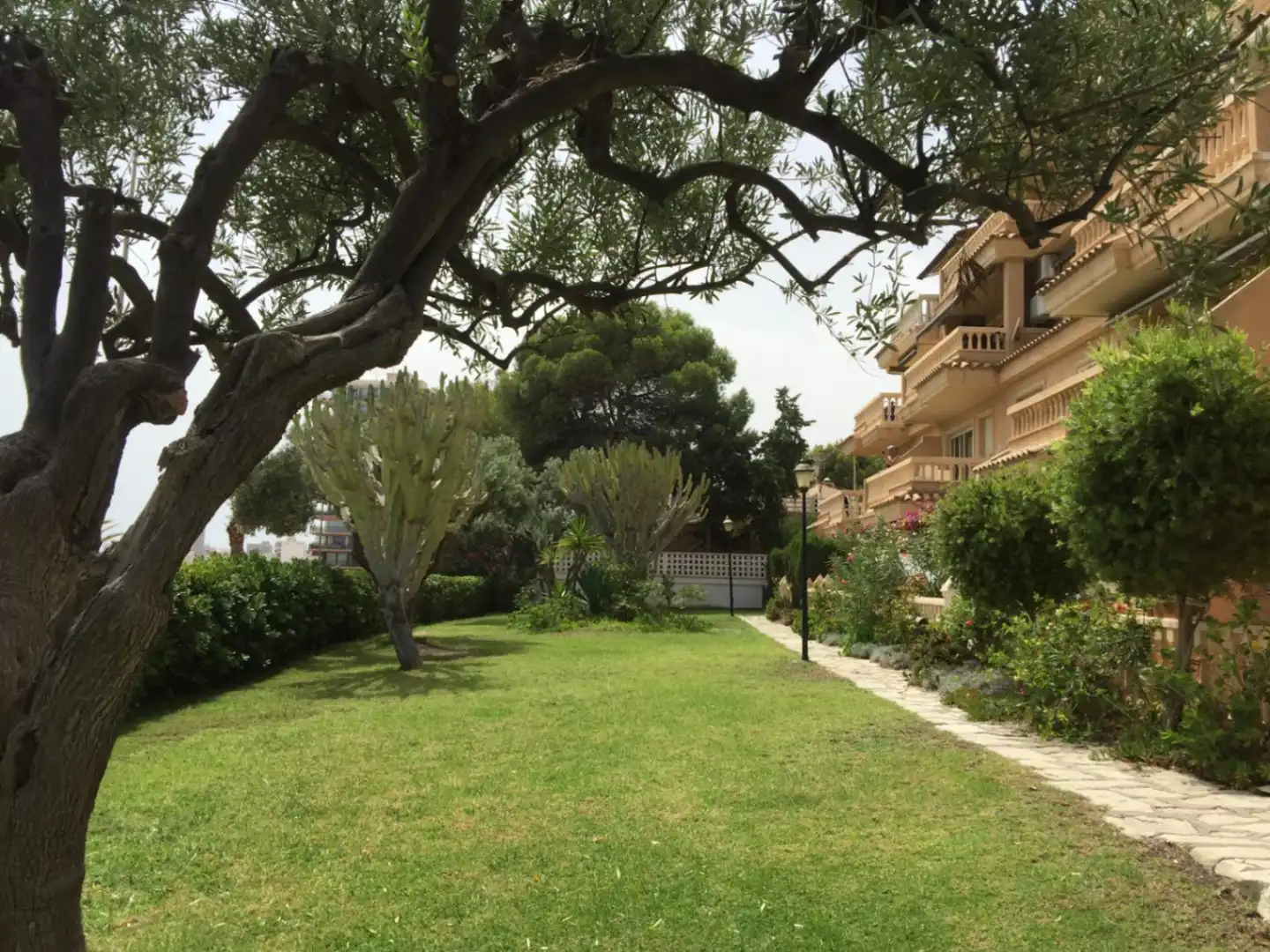 Jardí de Pis en venda en El Campello amb Jardí privat, Terrassa i Piscina