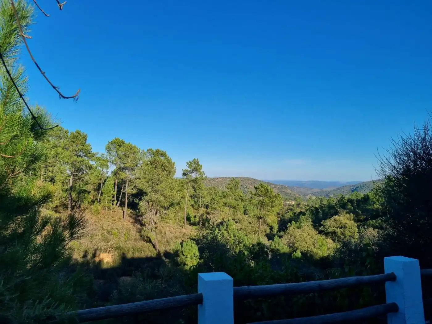Casa o chalet en venta en Valdelarco