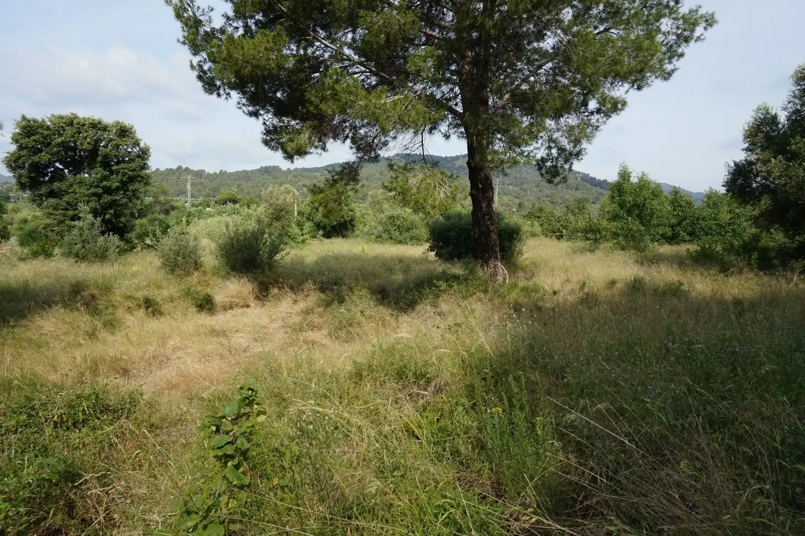 Maison rustique à vendre à Les Borges del Camp, imagen 18