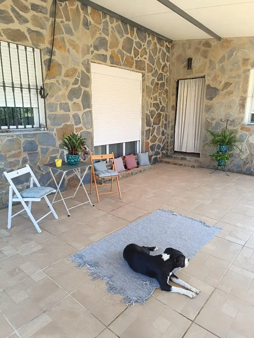 Terrassa de Casa o xalet en venda en La Haba 