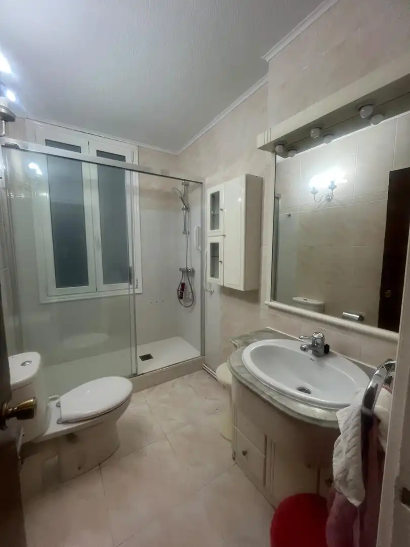Piso con terraza en venta en Alameda DOCTOR AREILZA 23, imagen 19