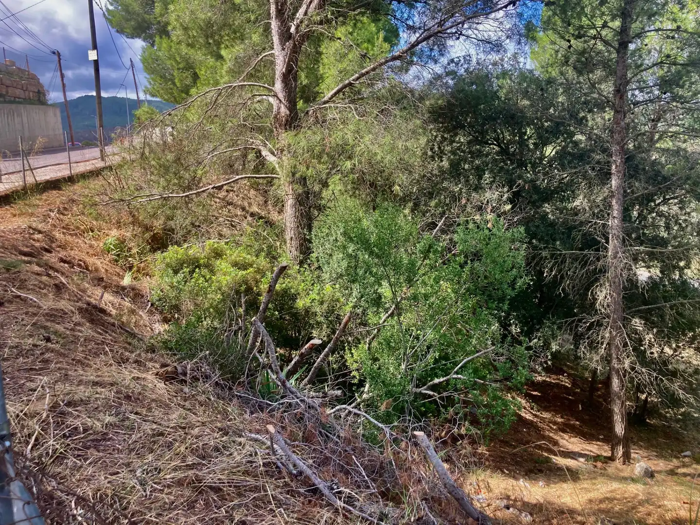 Terreny residencial en venda a Avinguda del Roser, imagen 10