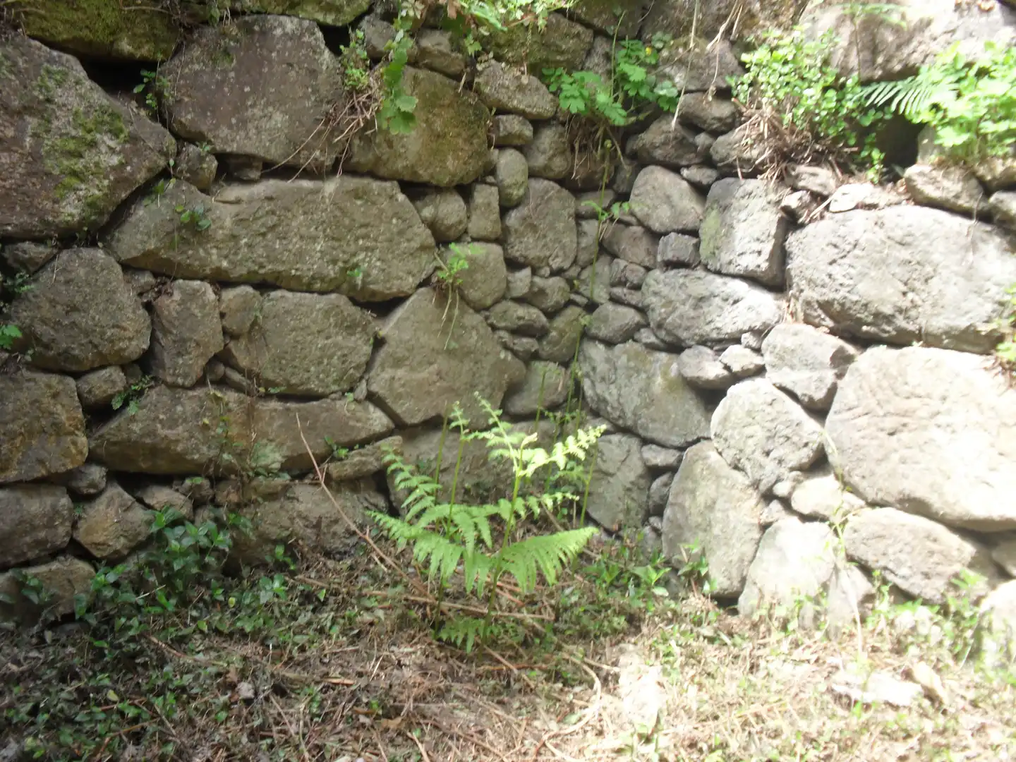 Jardí de Residencial en venda en Moaña