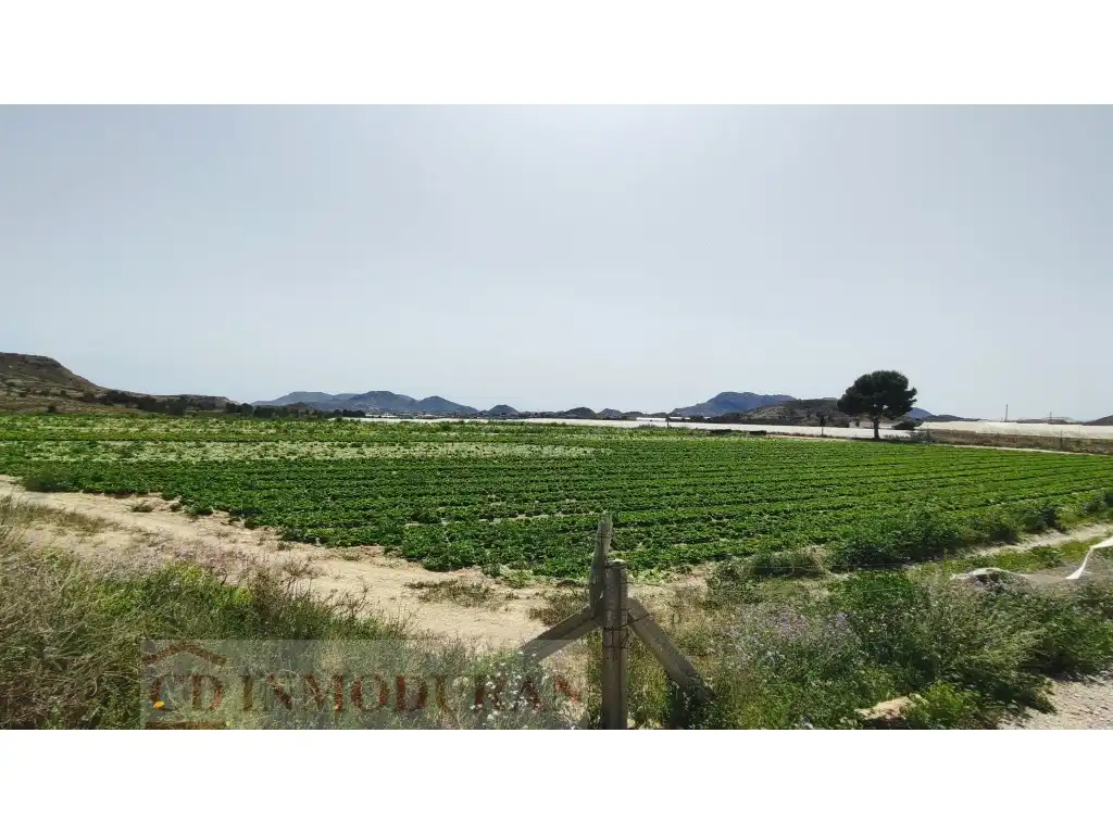 Terreno rustico in vendita a Carrer Ibi, imagen 6