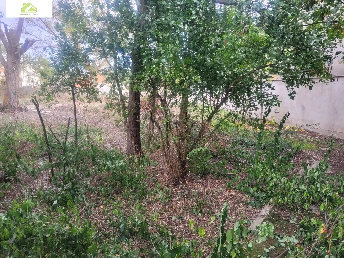Casa rústica amb jardí en venda a Morales del Vino, imagen 65