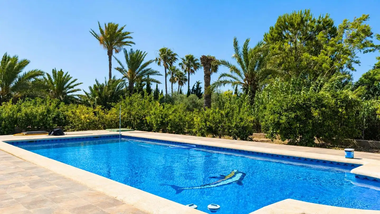 Piscina de Casa o xalet en venda en Elche / Elx amb Aire condicionat, Jardí privat i Terrassa