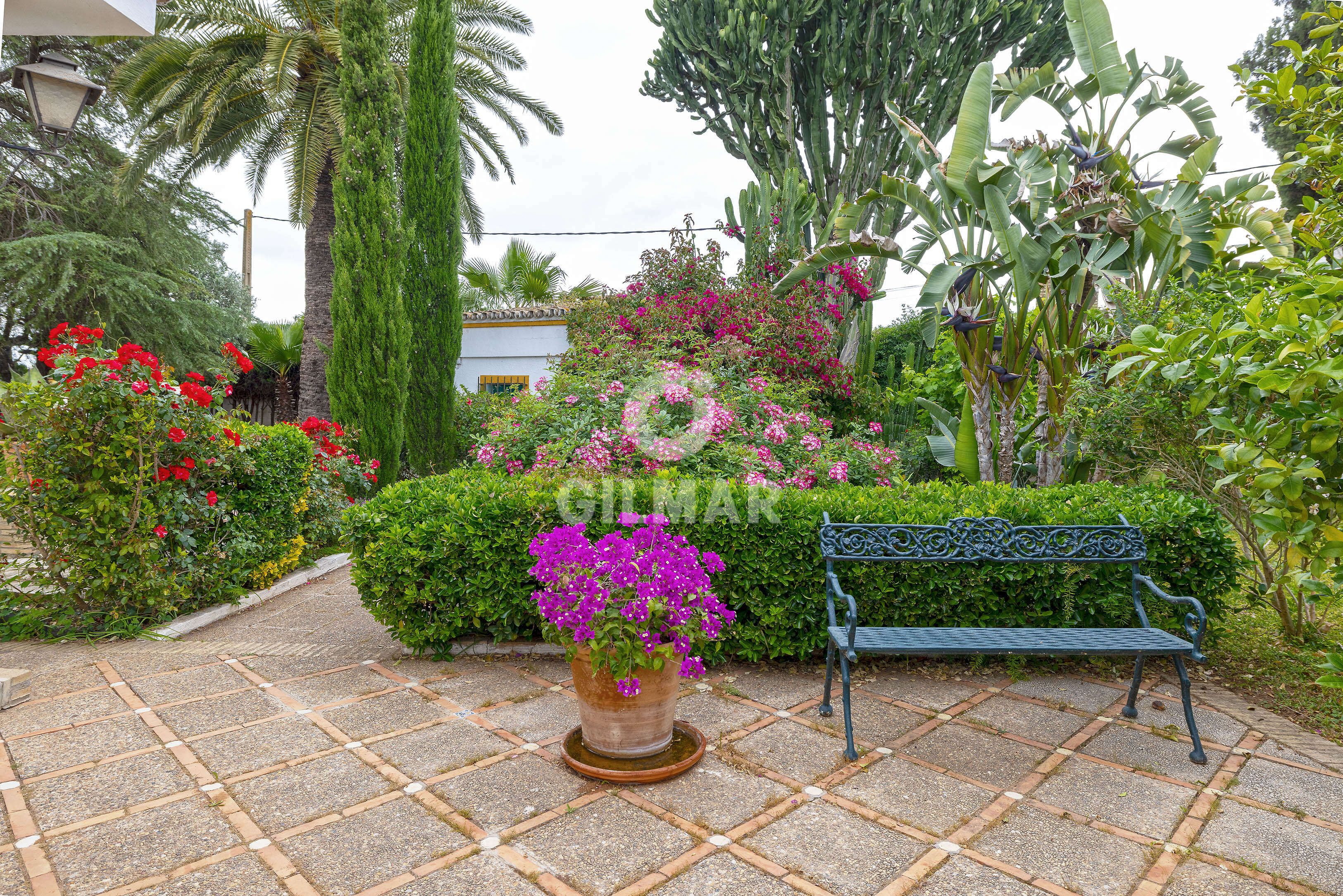 Garden of House or chalet for sale in Sanlúcar la Mayor  with Heating, Private garden and Swimming Pool