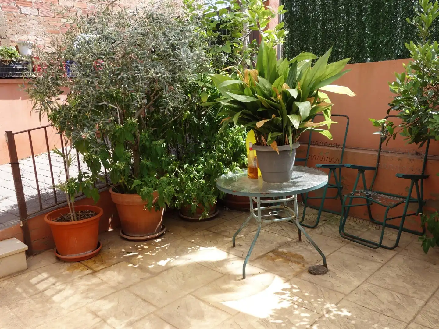 Maison mitoyenne avec terrasse à vendre à Les Boqueres - Santa Quiteria, imagen 51