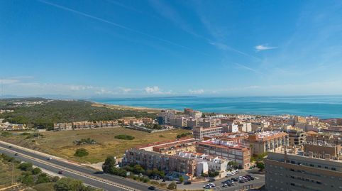 Foto 2 de Estudio en venta en La Lisa, 2, Gaspar Perelló, Torrevieja