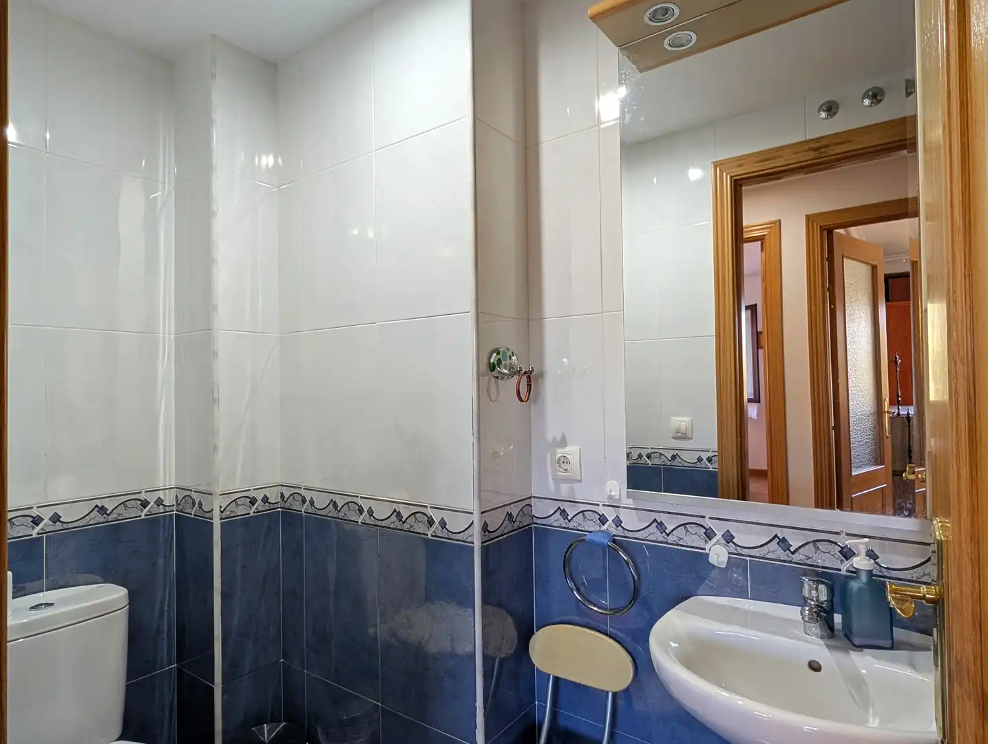 Badezimmer von Wohnungen zum Verkauf in Zorraquín mit Heizung, Abstellraum und Möbliert