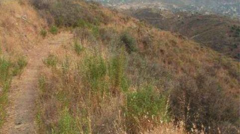 Foto 4 de Terreno en venta en Sup-r9 Lomas del Famenco, Mijas Golf, Mijas