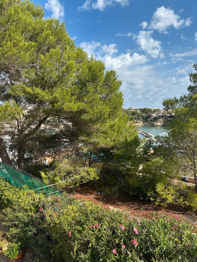 Jardí de Pis de lloguer en Manacor amb Aire condicionat, Calefacció i Terrassa