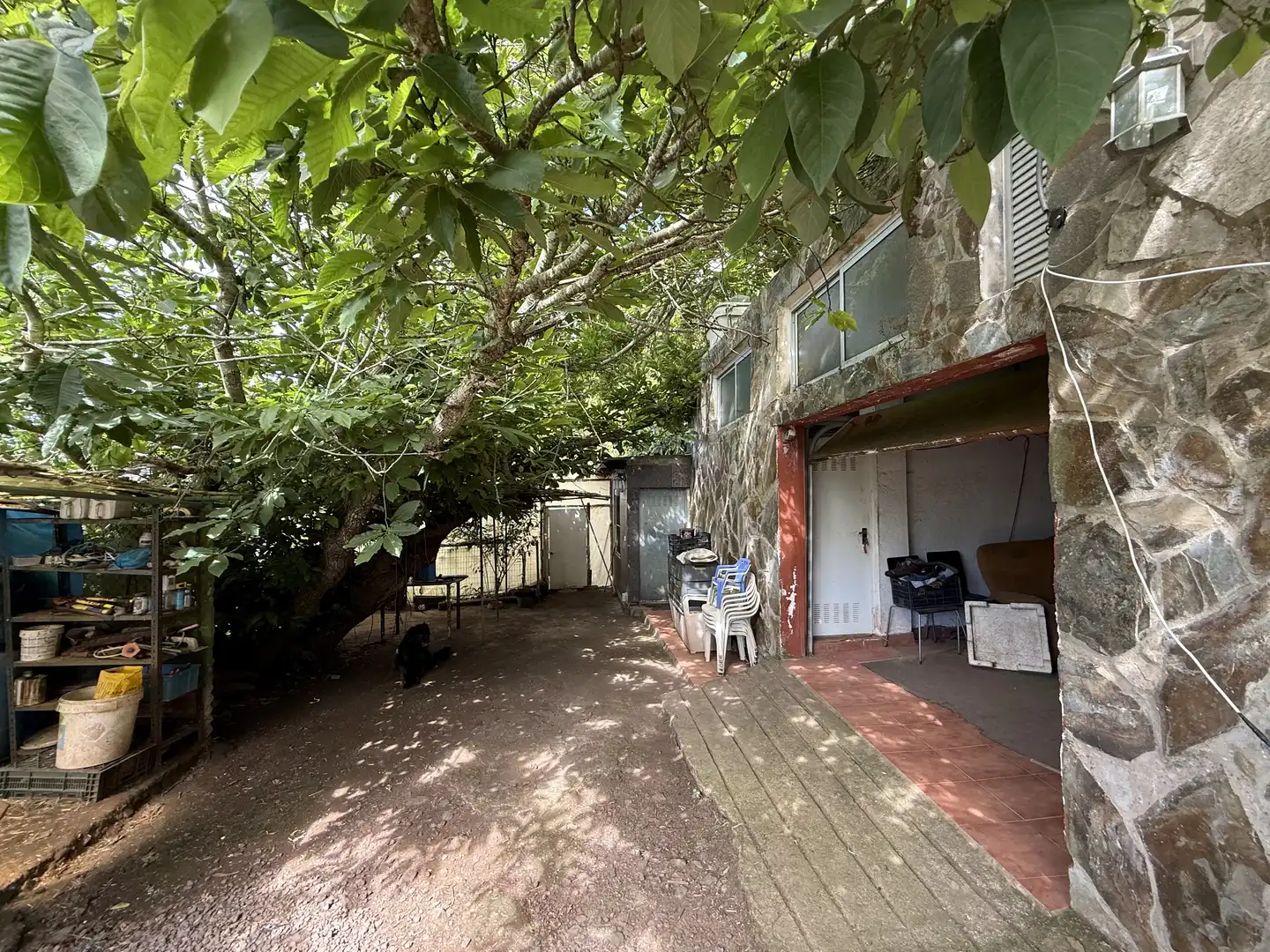 Rural land for sale in Tegueste, imagen 8