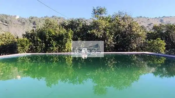 Piscina de Finca rústica en venta en Alzira con Aire acondicionado, Jardín privado y Piscina