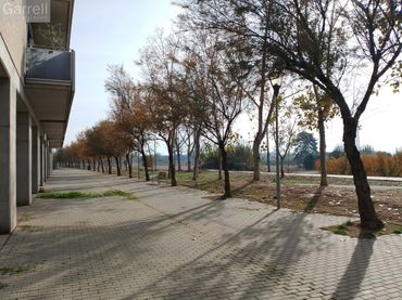 Business premises to rent in C/ Cal Bernet