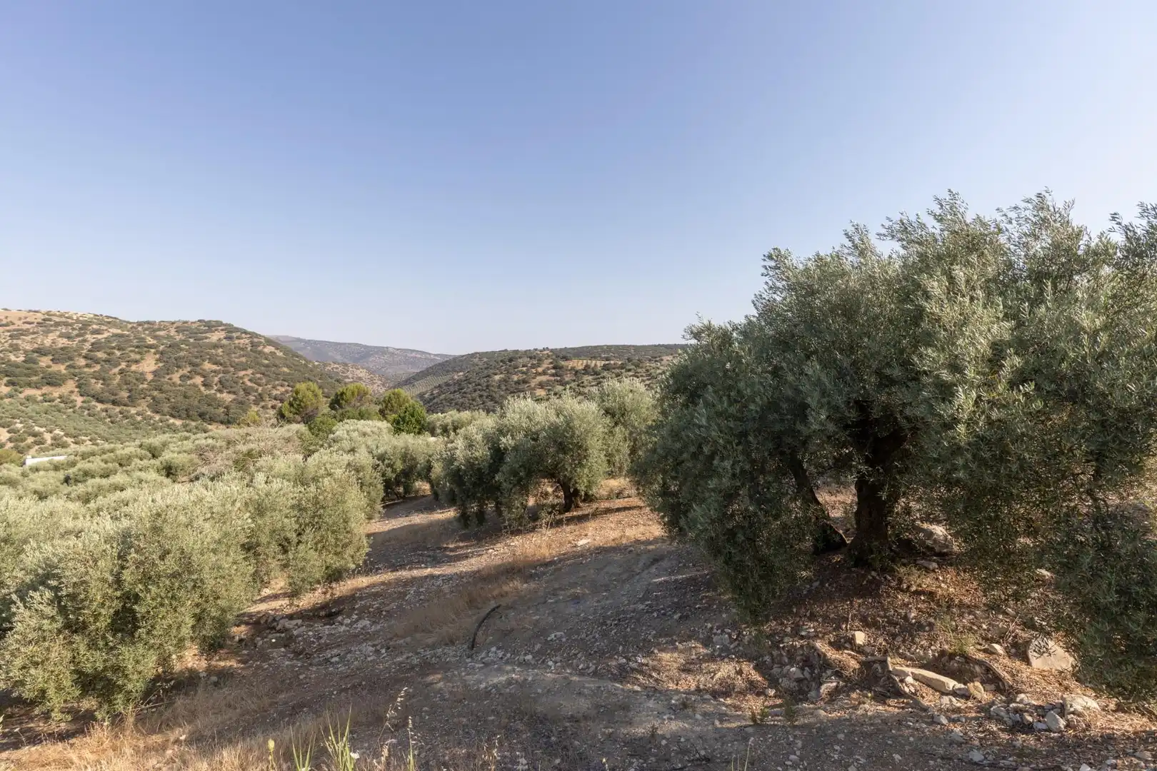 Terreni e lotti in vendita a Lugar Lugar del Cortijo Aguadero, imagen 39