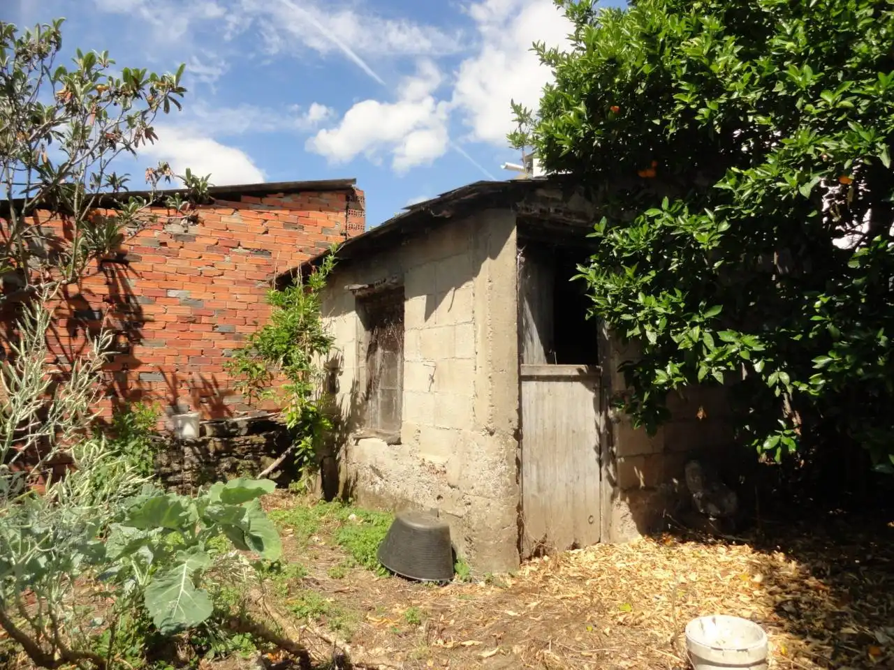 Vista exterior de Finca rústica en venta en A Rúa 