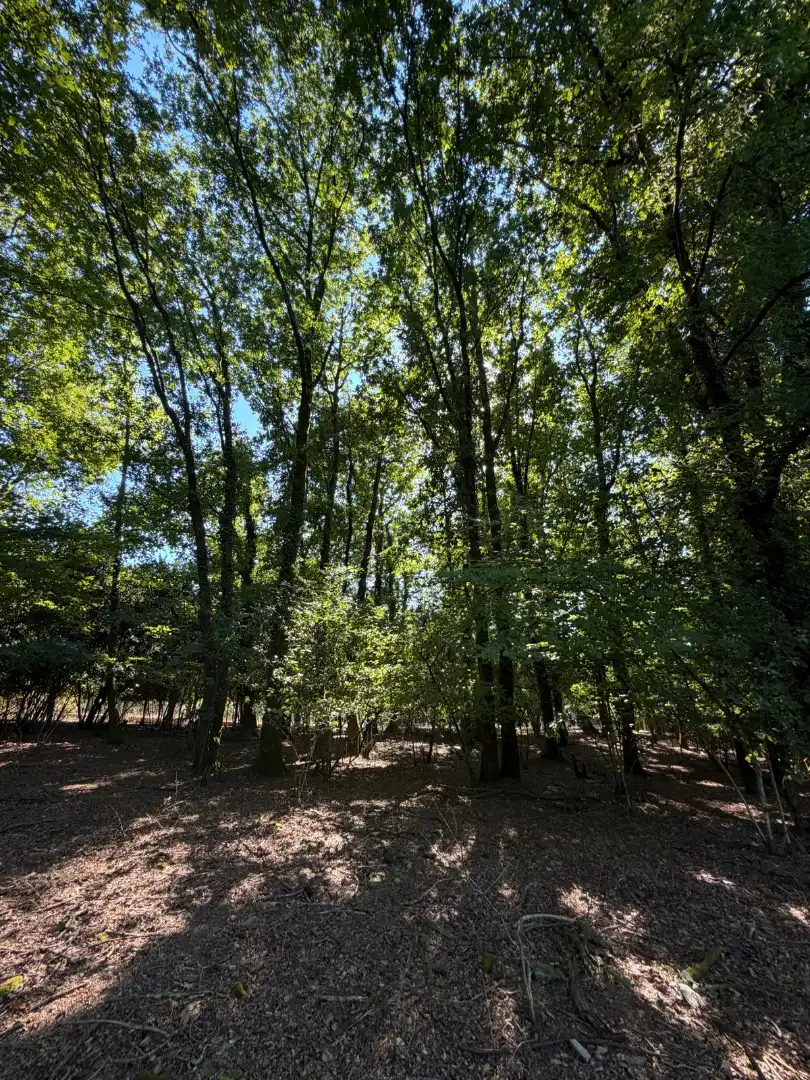 Casa rústica con jardín en venta en PO-254, imagen 20