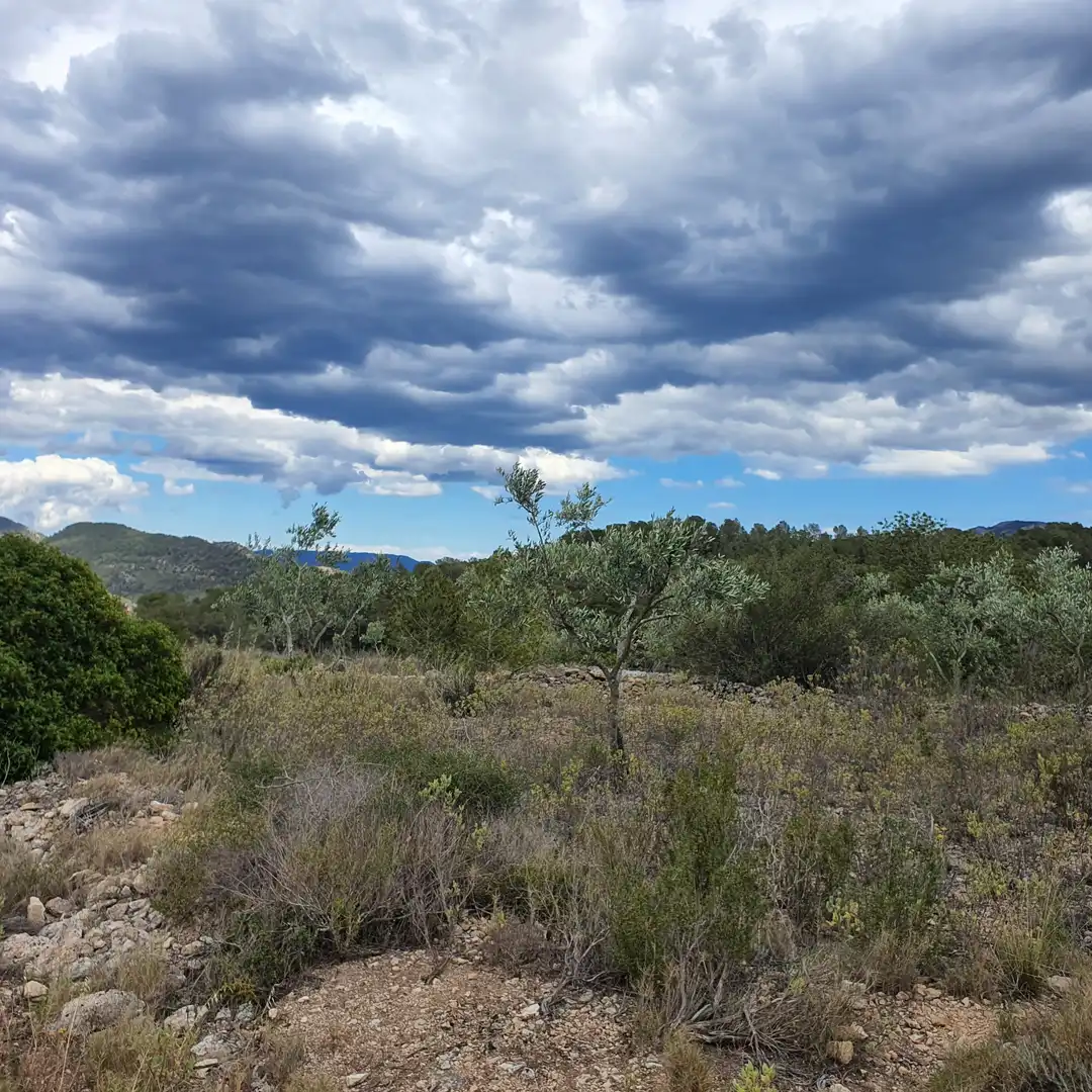 Rural land for sale in El Pinell de Brai, imagen 5