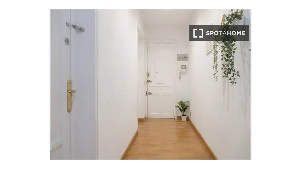 Room in El Viso