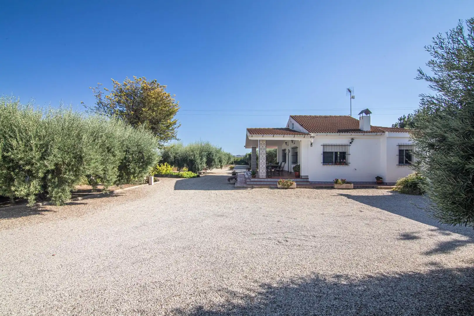 Chalet con piscina en venta en Partida HORNA BAJA 16, imagen 57