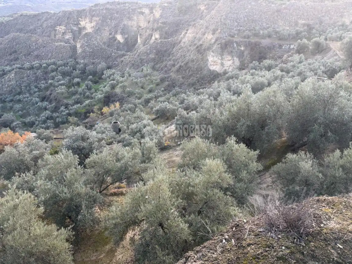 Terreno rustico in vendita a El Valle, imagen 25