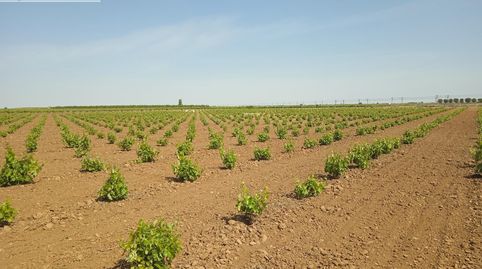 Photo 3 of Residential for sale in Socuéllamos, Ciudad Real