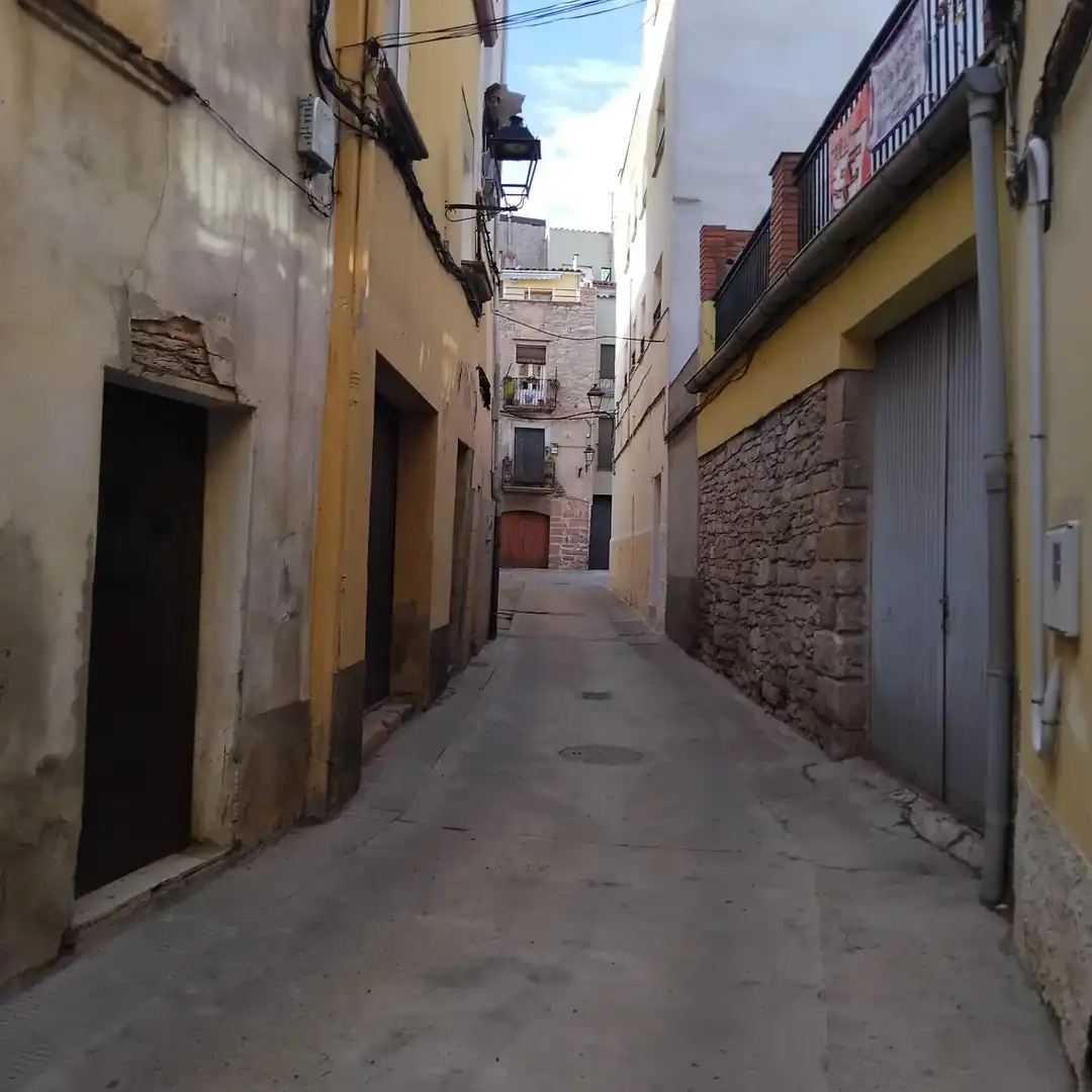 Vista exterior de Casa o chalet en venta en Tàrrega con Terraza