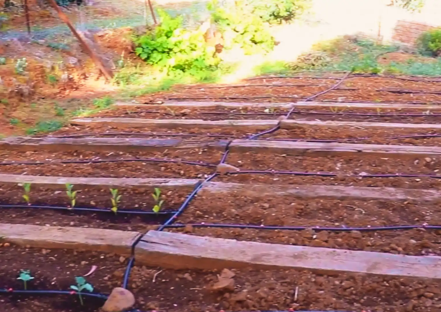 Garden of Buildings for sale in Calañas  with Community pool