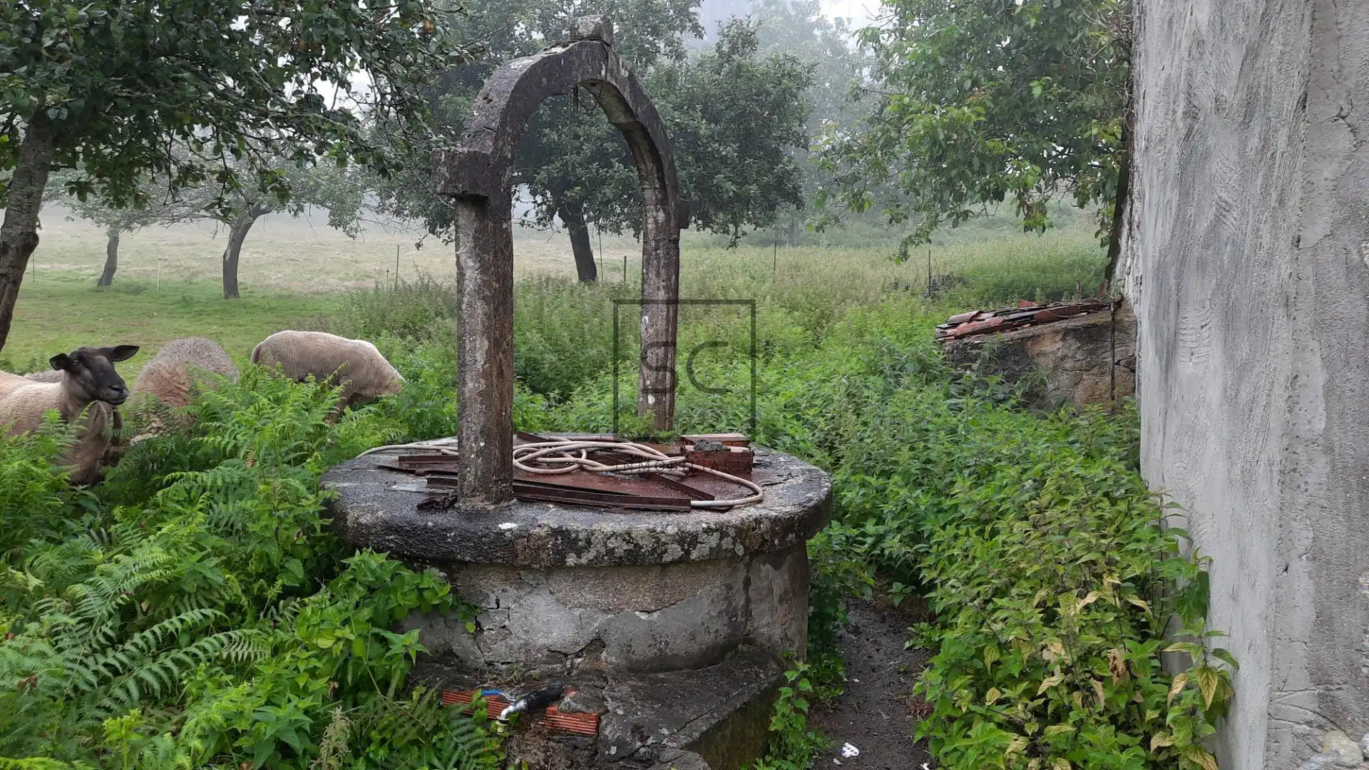 Jardí de Finca rústica en venda en Ferrol amb Jardí privat