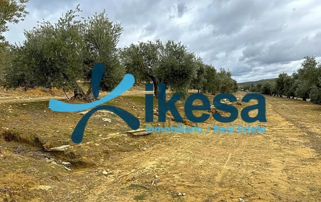 Land for sale in Lupión