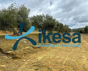 Land for sale in Lupión
