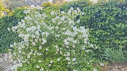 Foto 4 de Casa o chalet en venta en Albalate de Zorita, Guadalajara