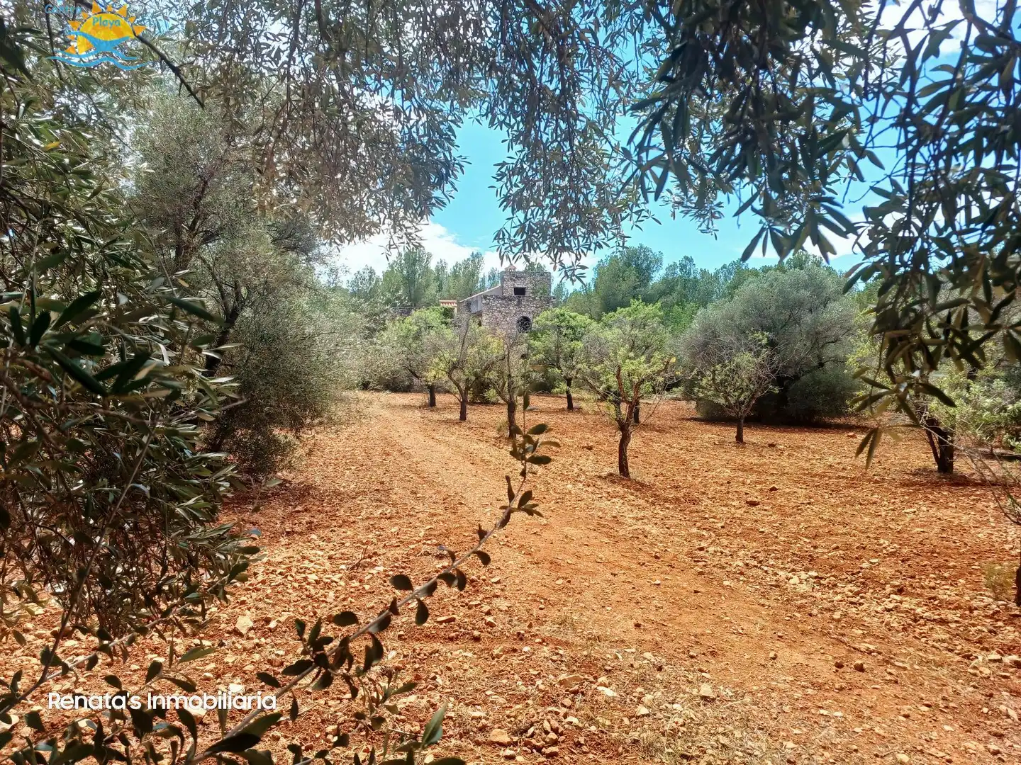 Finca rústica en venta en PEÑISCOLA, Las Atalayas - Urmi - Cerro de Mar