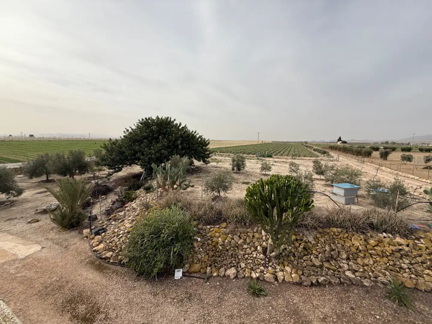 Villa à vendre à Campo de Murcia, imagen 30