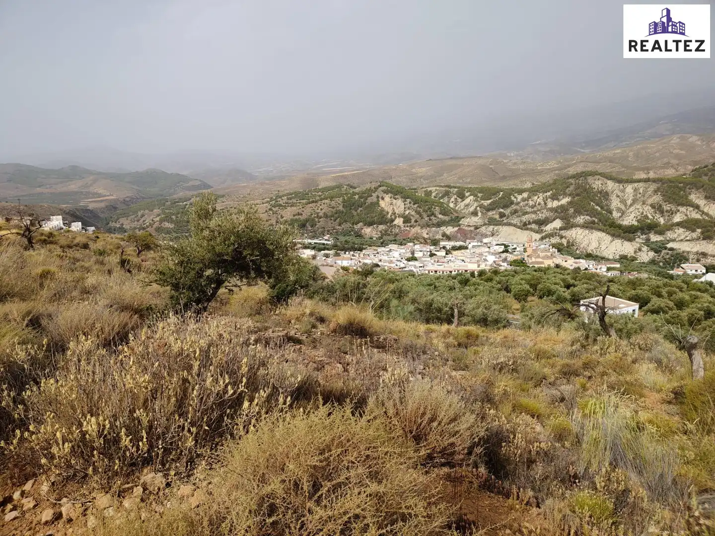 Terrain rustique à vendre à Alcolea, imagen 2
