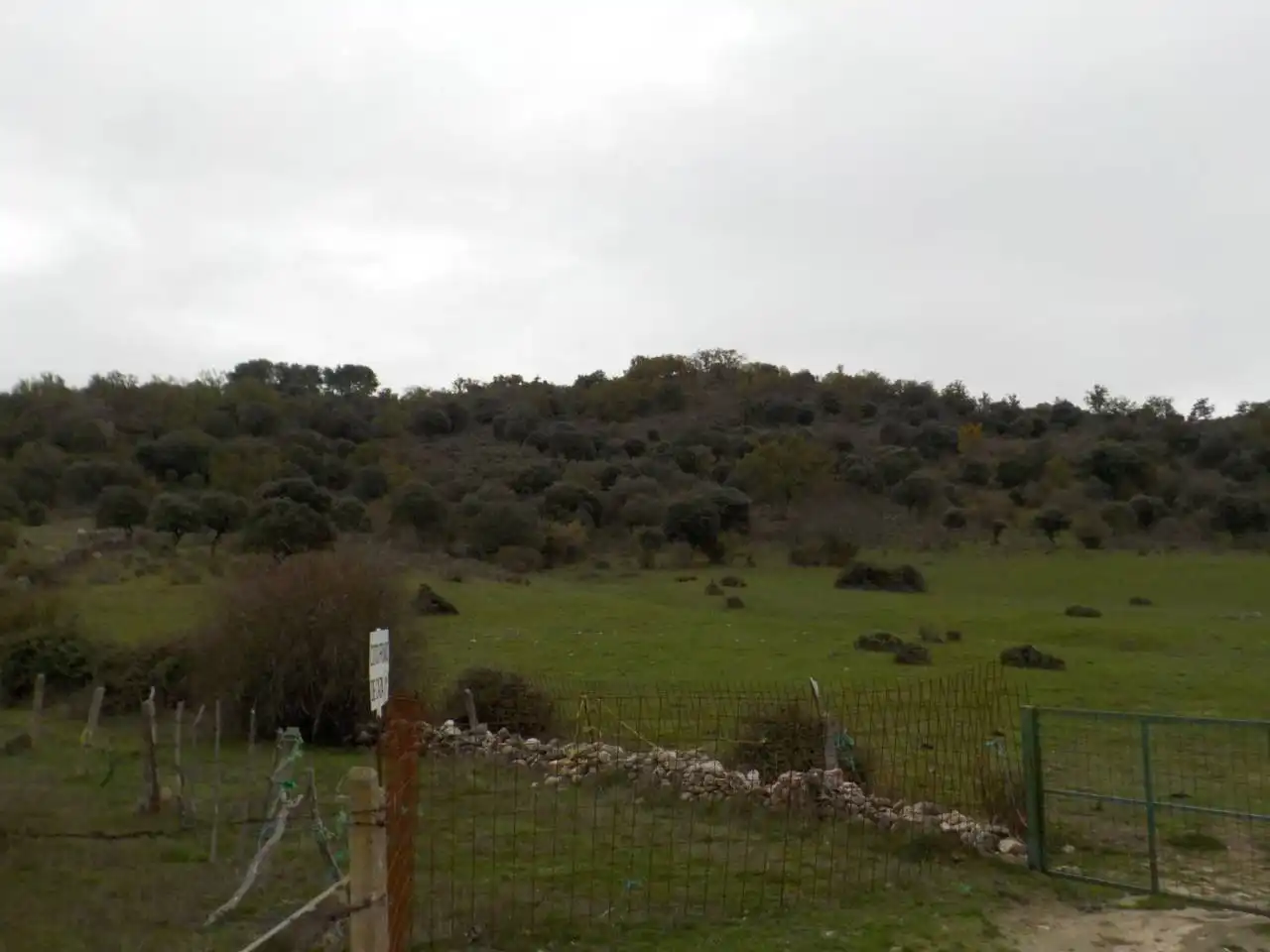 Terreno en venta en Puebla de Azaba