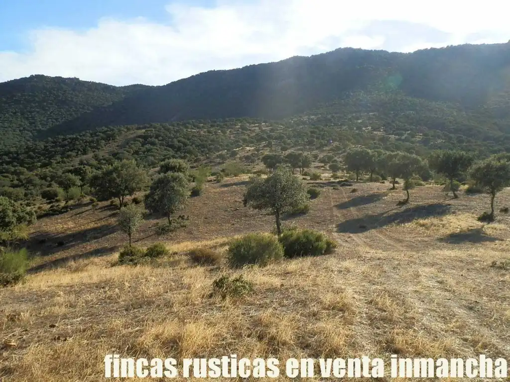 Rustikales Grundstück zum Verkauf in Avenida Ciudad Real Pol N 7, imagen 6
