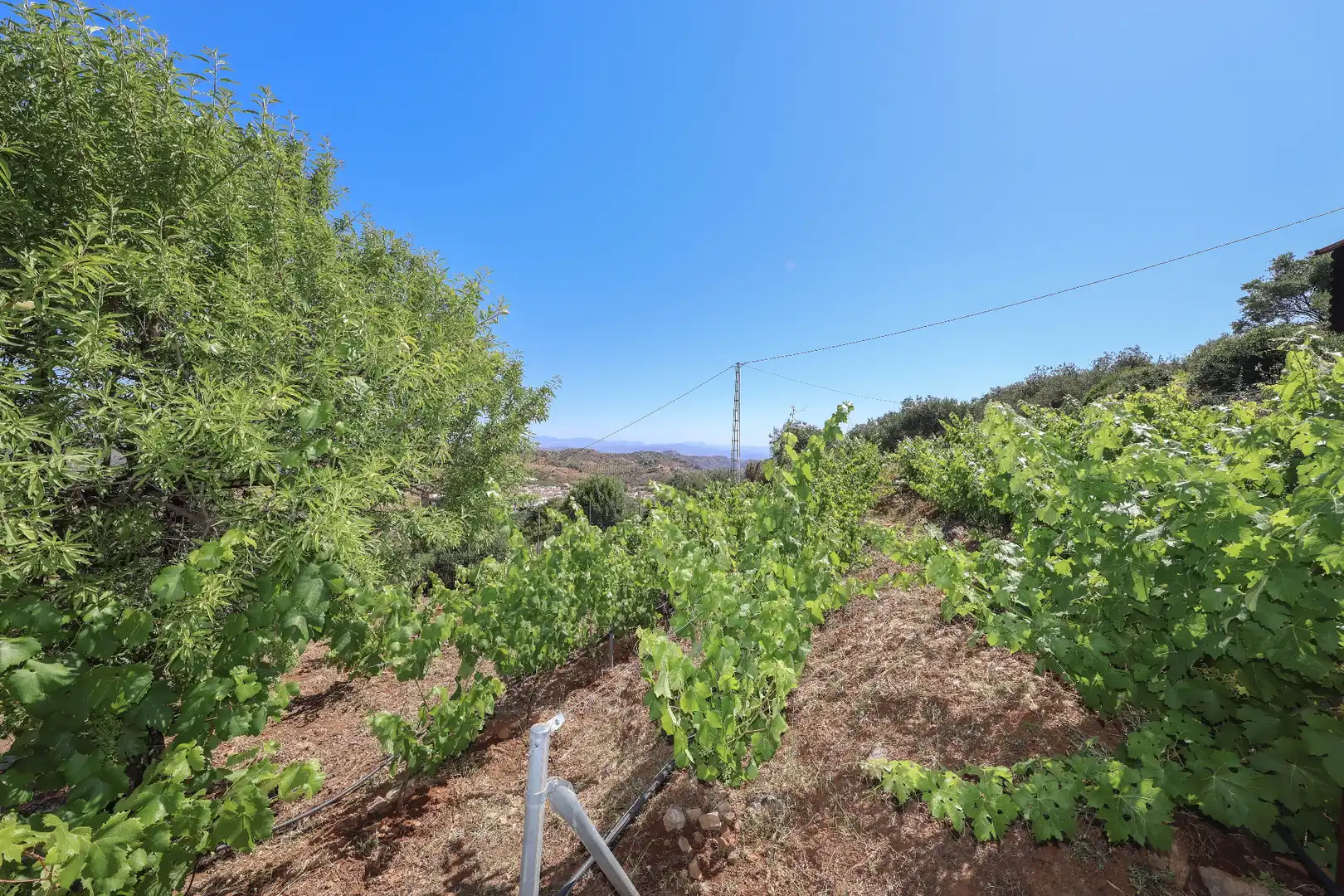 House with pool for sale in Camino Arroyo Seco, imagen 60